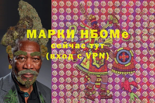 стафф Алексин