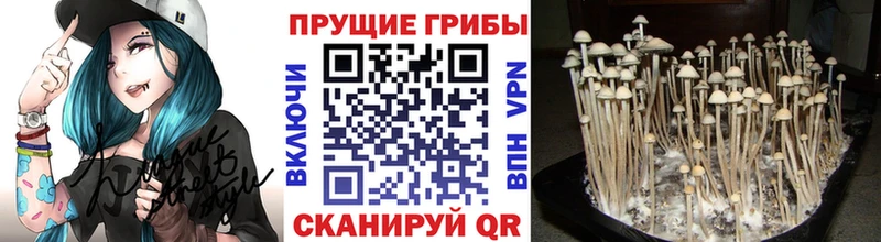 Псилоцибиновые грибы Magic Shrooms Котовск