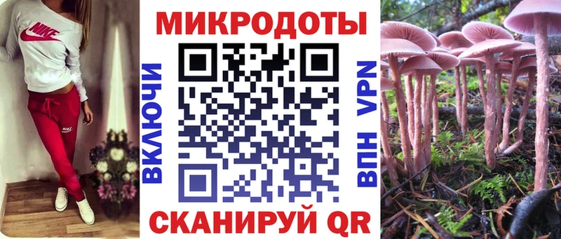 Псилоцибиновые грибы Psilocybine cubensis  блэк спрут зеркало  Котовск  закладки 